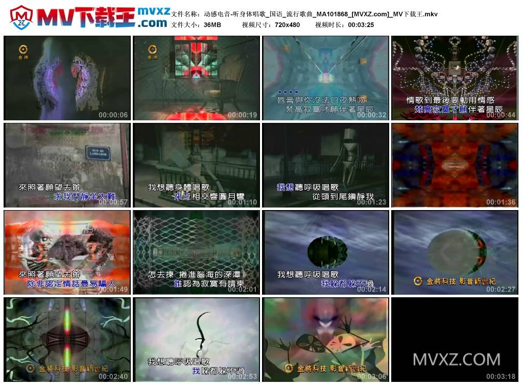 动感电音-听身体唱歌_国语_流行歌曲_MA101868